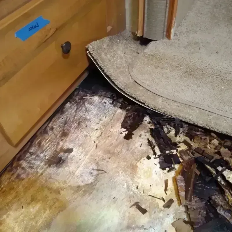 Best Wood Floor Water Damage Service in Holgate, OH